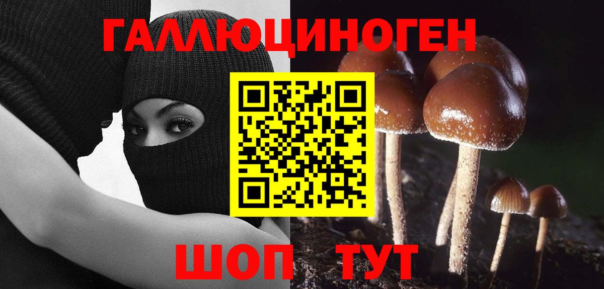 Галлюциногенные грибы GOLDEN TEACHER Юрга