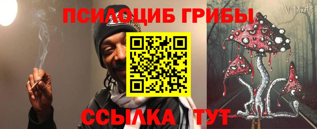 Юрга  Псилоцибиновые грибы Psilocybine cubensis  Вход с VPN 
